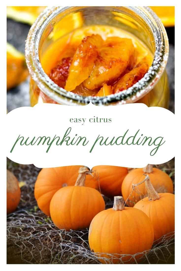 Citrusy Pumpkin Pudding for Thanksgiving Dessert #pumpkinrecipe #thanksgivingrecipe #dessertrecipe #puddingrecipe