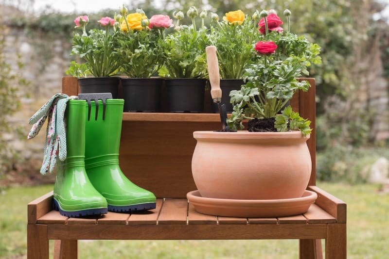 Self Watering Containers Plants Will Grow Well In