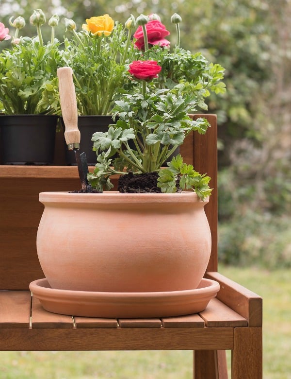 Self Watering Containers Plants Will Grow Well In