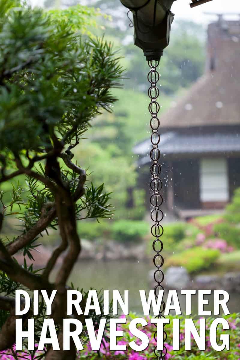 Rainwater Harvesting DIY Projects to Make at Home