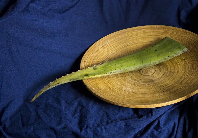 aloe on a bamboo plate