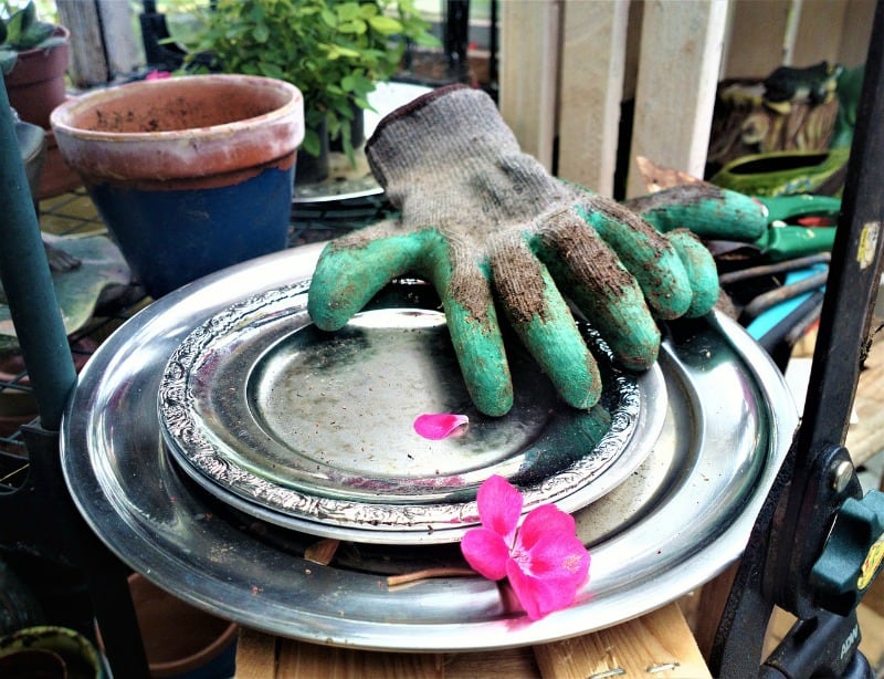gardening gloves and pots