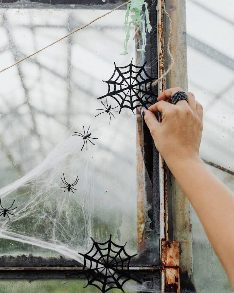 decorating the door with spiders