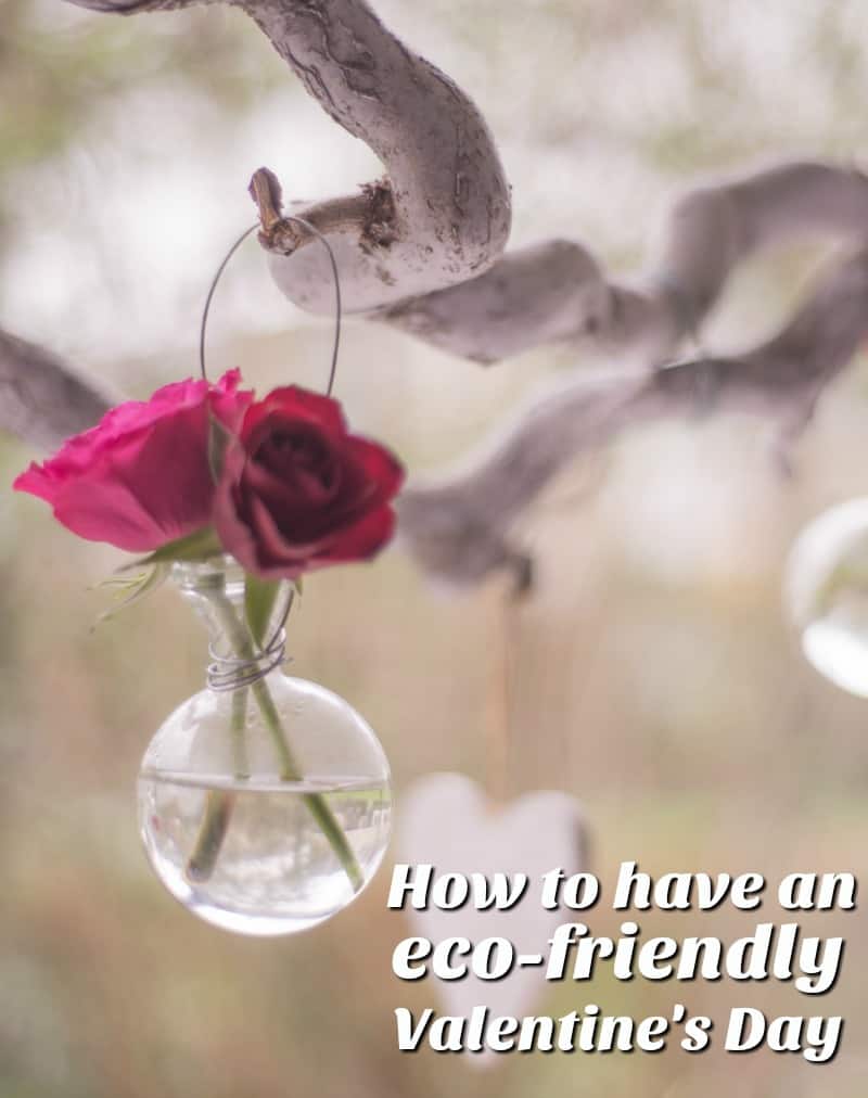 Have an Eco-Friendly Valentine's Day in 4 Simple Steps