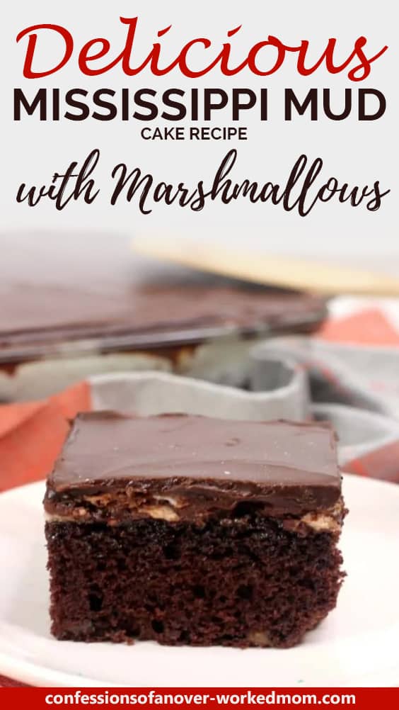 You are going to love this Mississippi Mud Cake recipe! Learn how to make this delicious Southern dessert with chocolate frosting.
