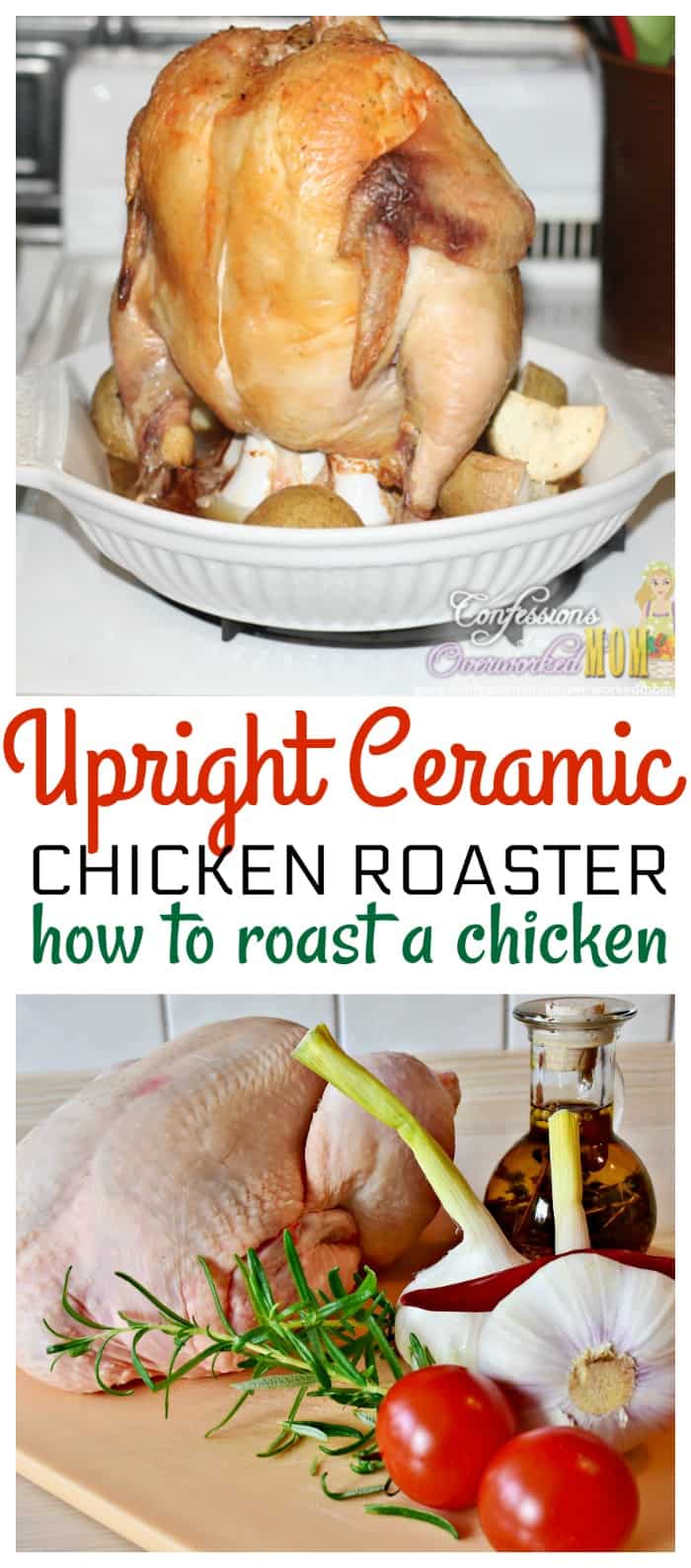 Upright Chicken Roaster from Reco for the Juciest Chicken Ever