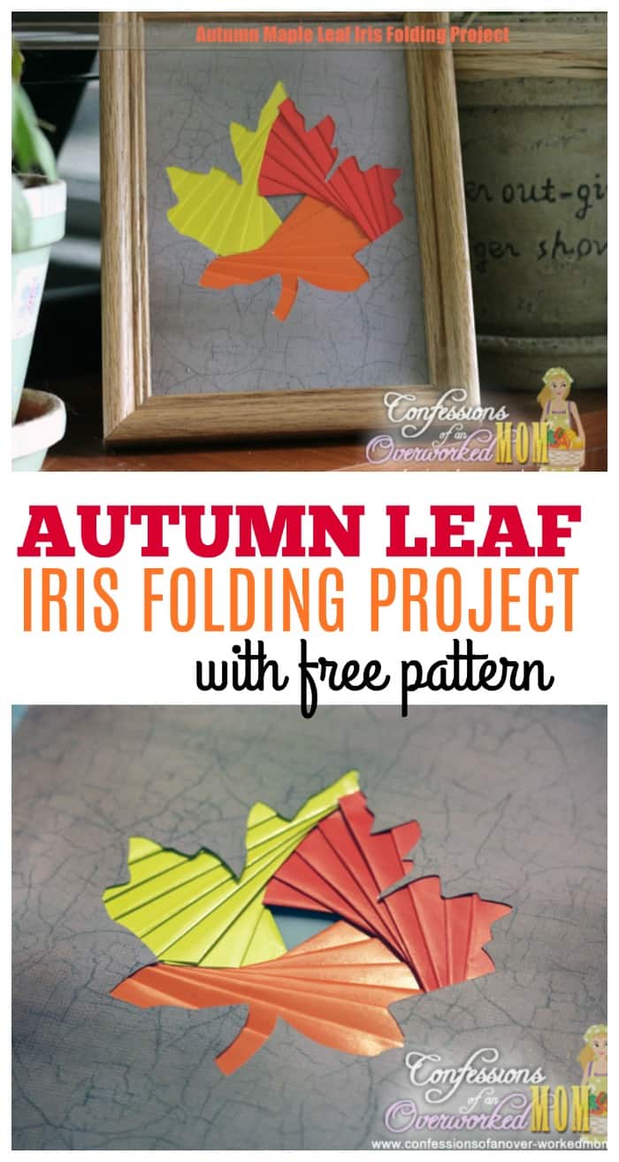 Autumn Maple Leaf Iris Folding Project With Pattern