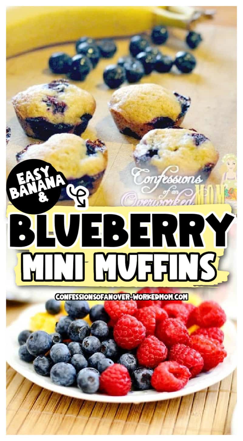 This banana blueberry mini muffins recipe is a family favorite. There is just something extra special about mini desserts when you serve them.