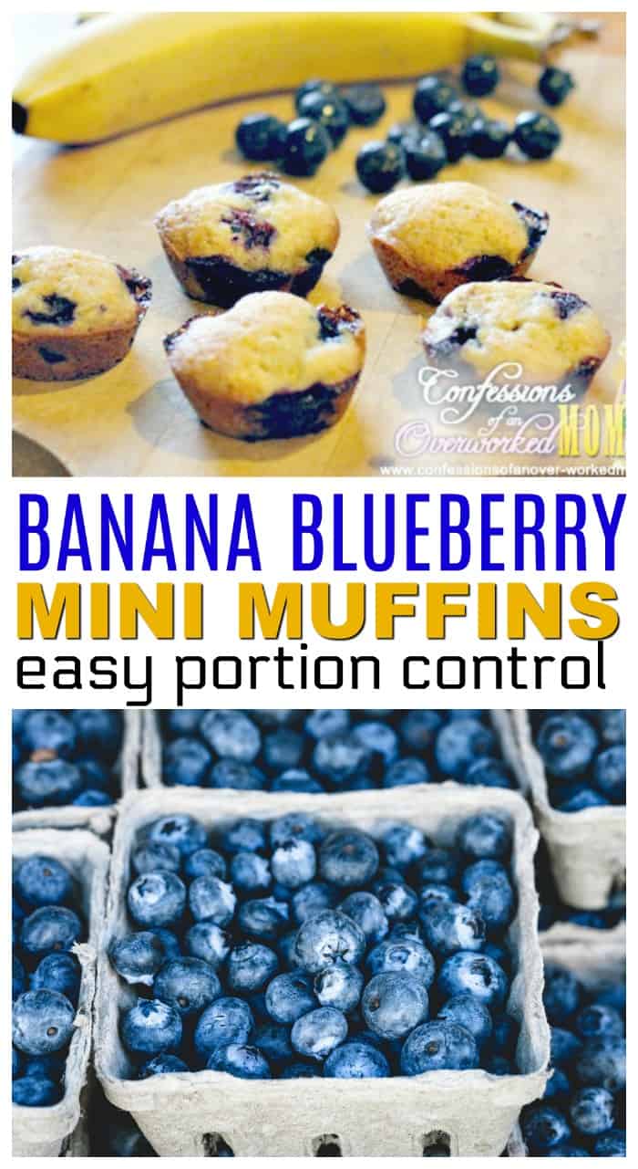 Banana Blueberry Muffins Recipe Miniature Desserts