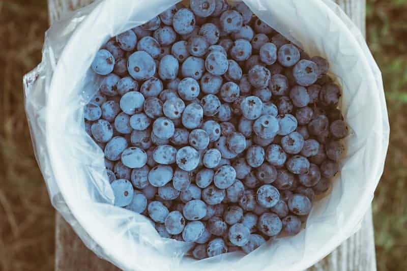 25 Fresh Blueberry Recipes: Blueberry and Cranberry Relish