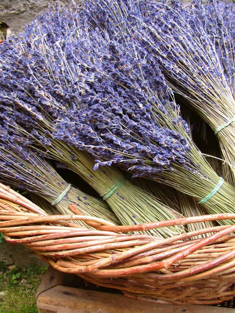 dried lavender in a basket