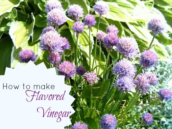 Flavored vinegar - how to make your own