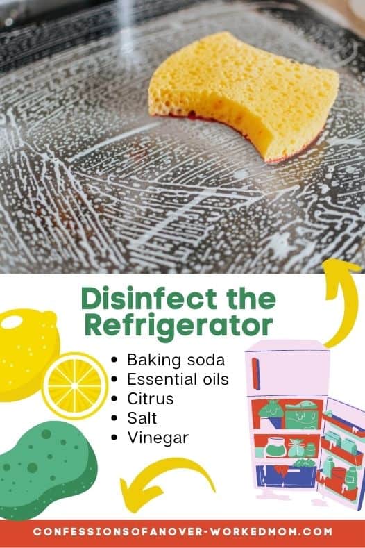 Learning how to disinfect a refrigerator naturally is not only better for the environment, it is much cheaper than relying on chemical-based cleaners.  