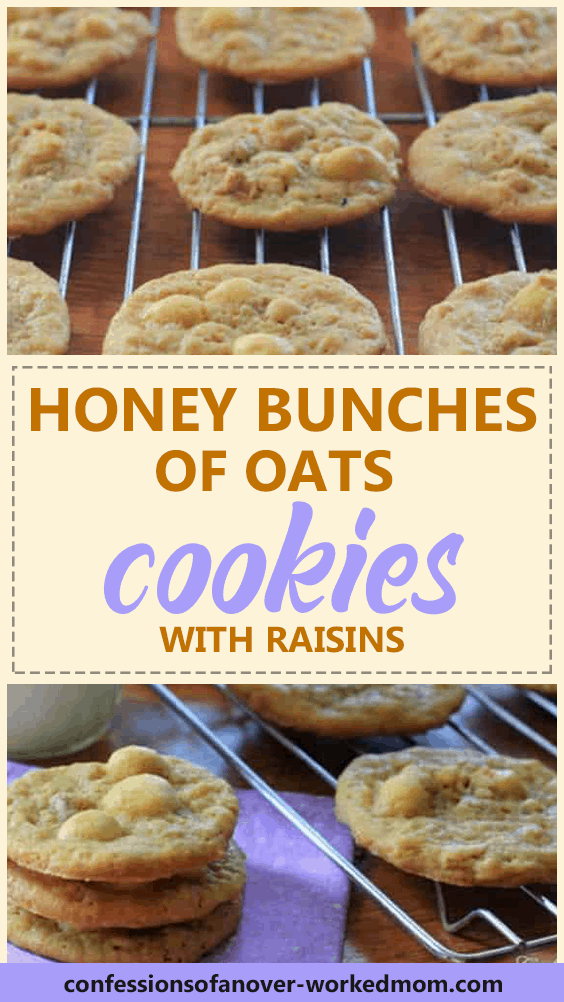 Honey Bunches of Oats Cookies Recipe With Raisins