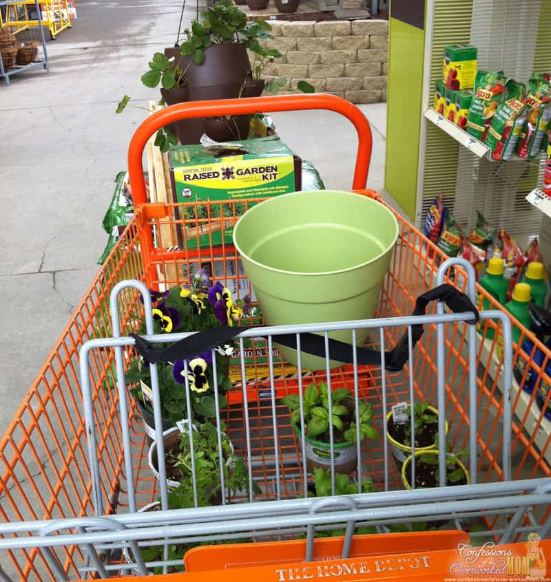 Container gardening supplies