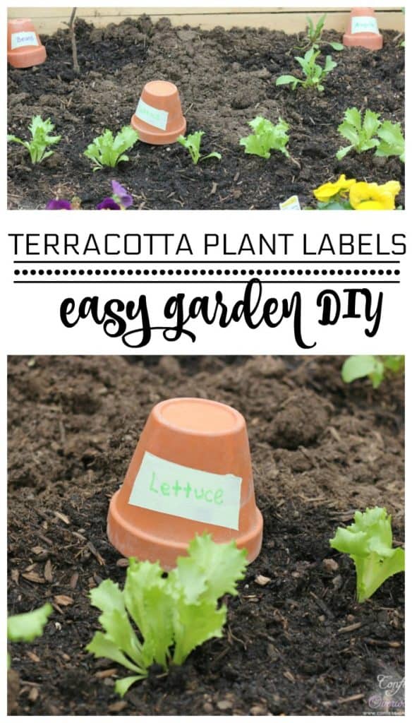 Garden Plant Labels DIY With Terracotta Planters