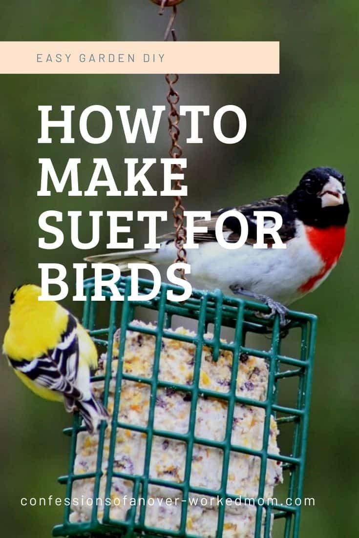 How to Homemade Suet For Birds - An Easy Garden DIY #birdfeeding #birdwatching #gardendiy