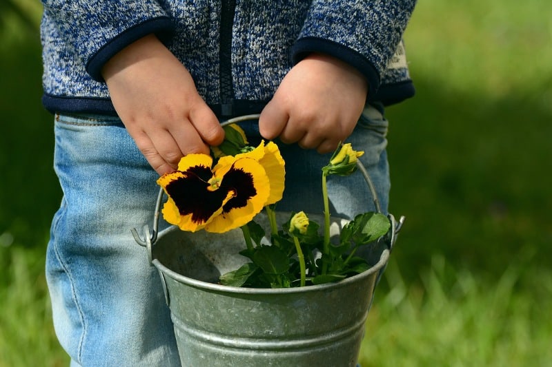 How to Teach Science In The Garden to Your Child