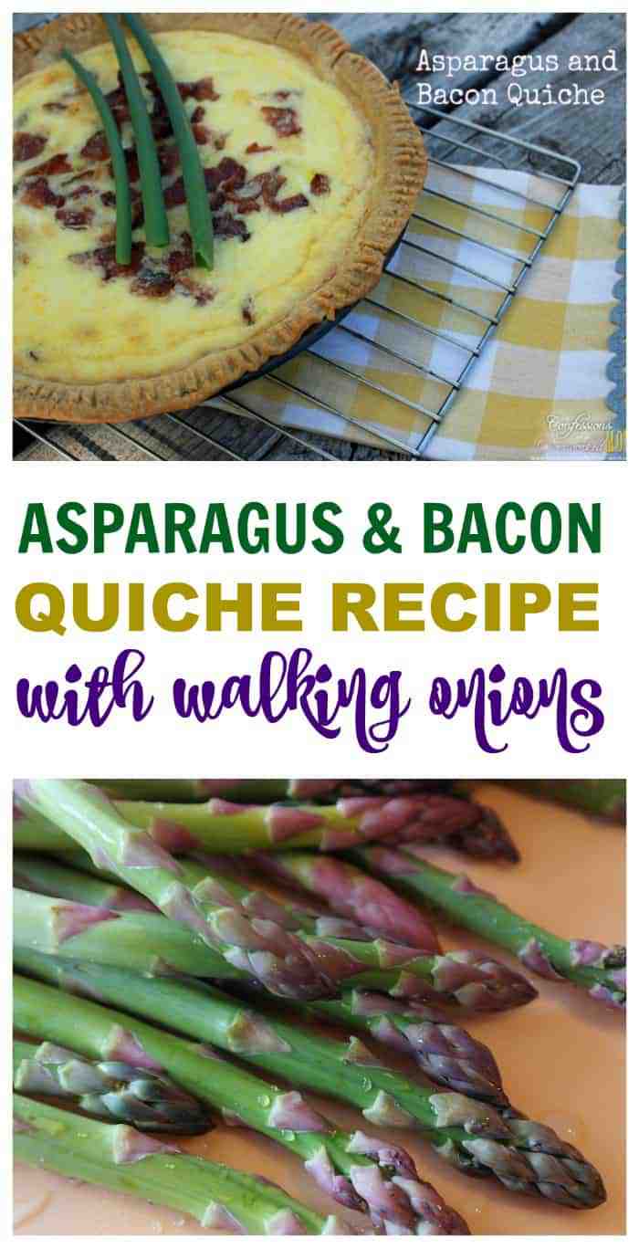Asparagus and Bacon Quiche Recipe With Walking Onions
