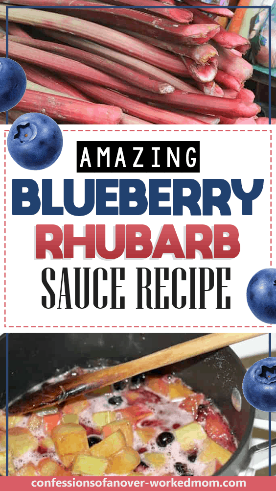 Easy Rhubarb Recipe - Blueberry Rhubarb Sauce Recipe