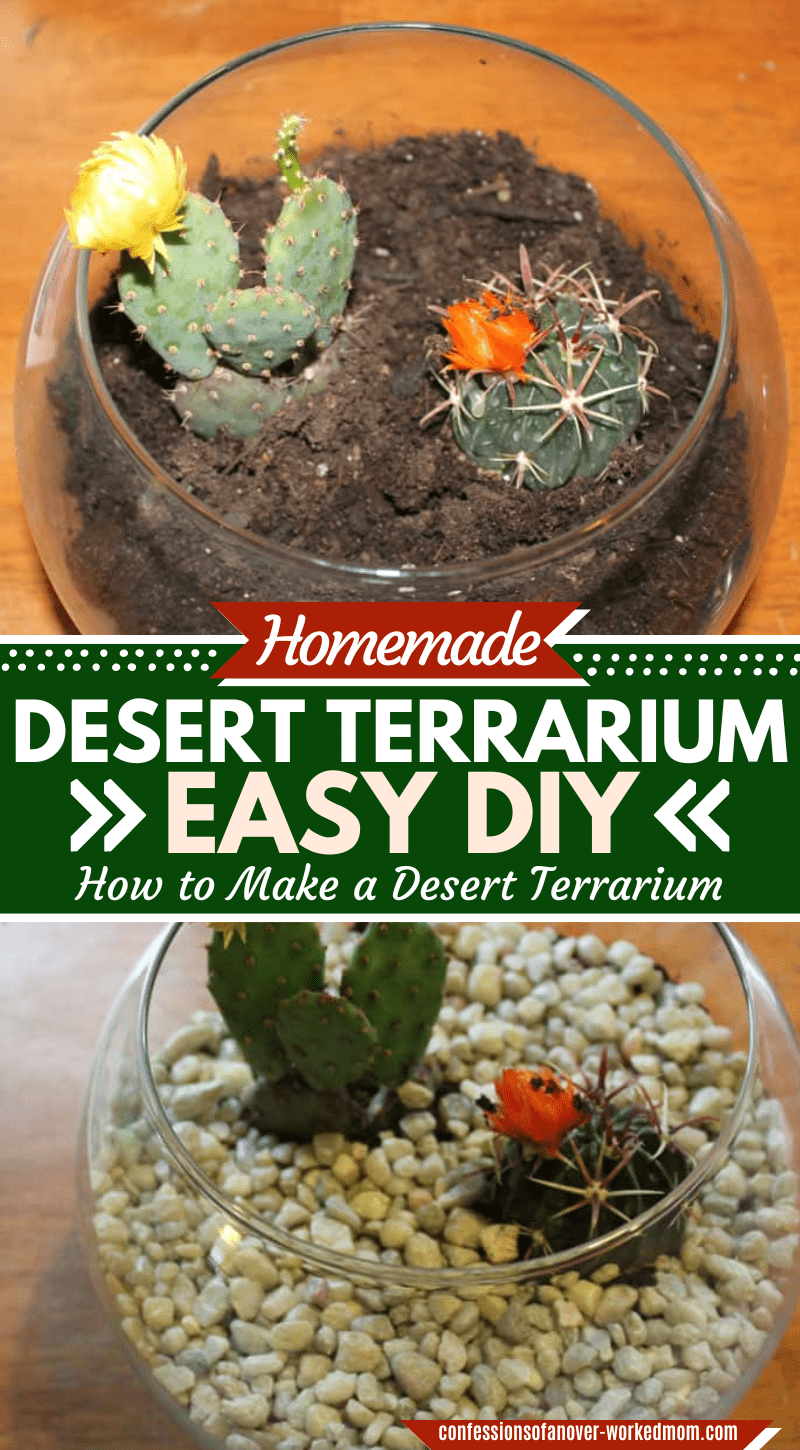 This desert terrarium DIY craft was inspired by a craft I found in Terrariums Reimagined.  Learn how to make a mini dessert planter of your own.