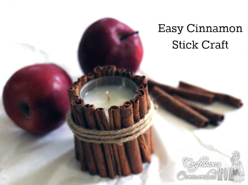 cinnamon stick craft