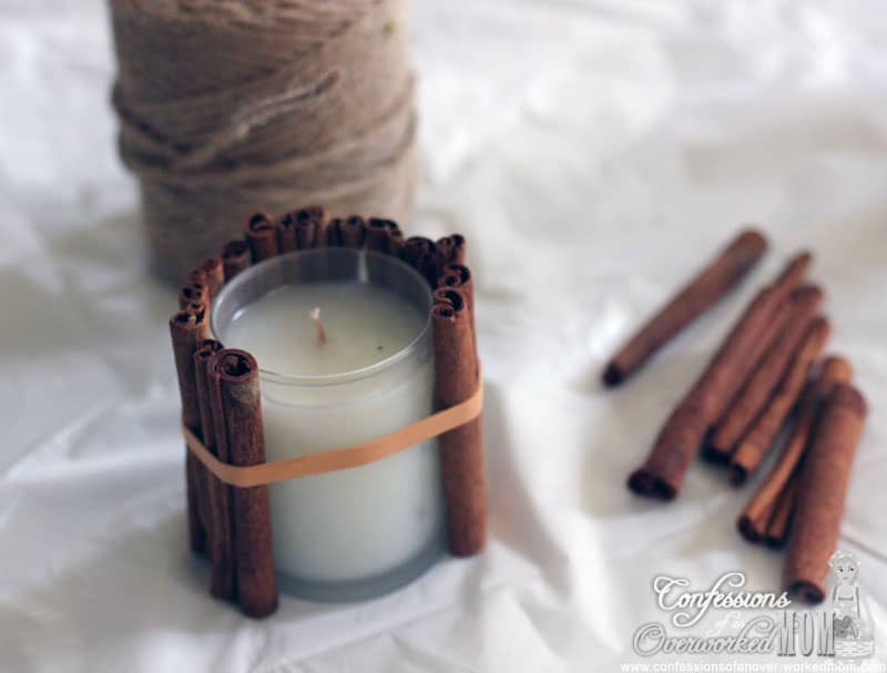 Cinnamon stick craft
