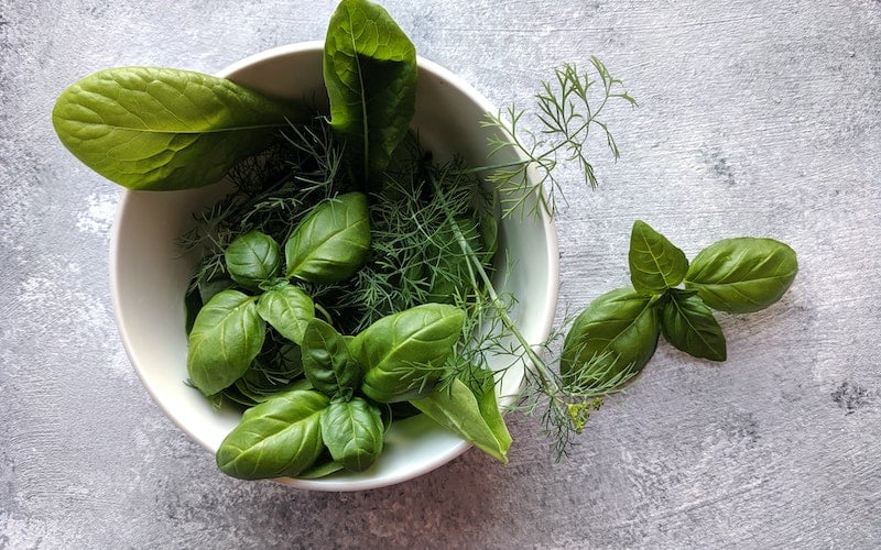 basil and fresh herbs in a white bowl