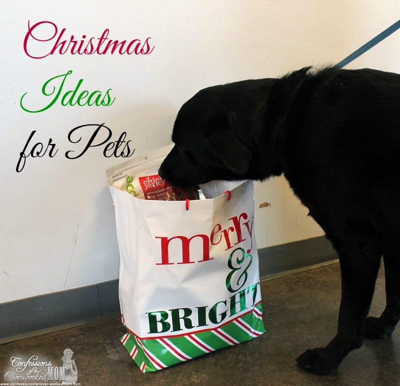 Christmas present ideas for pets #HappyAllTheWay #shop #cbias 