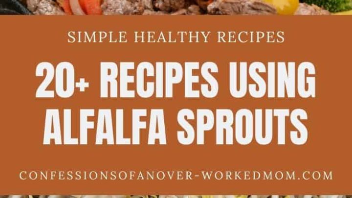 alfalfa sprouts recipes