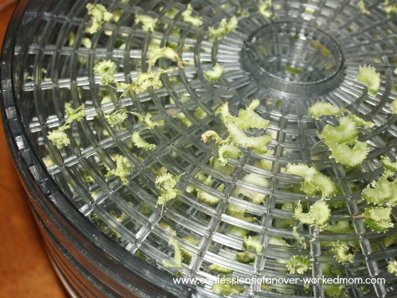 dried celery on a dehydrator tray