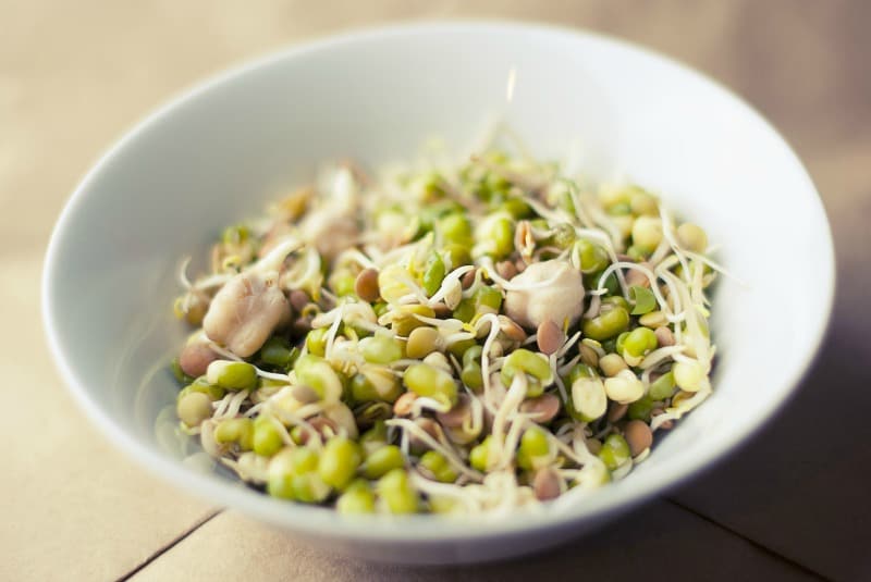 a white bowl full of sprouted green seeds