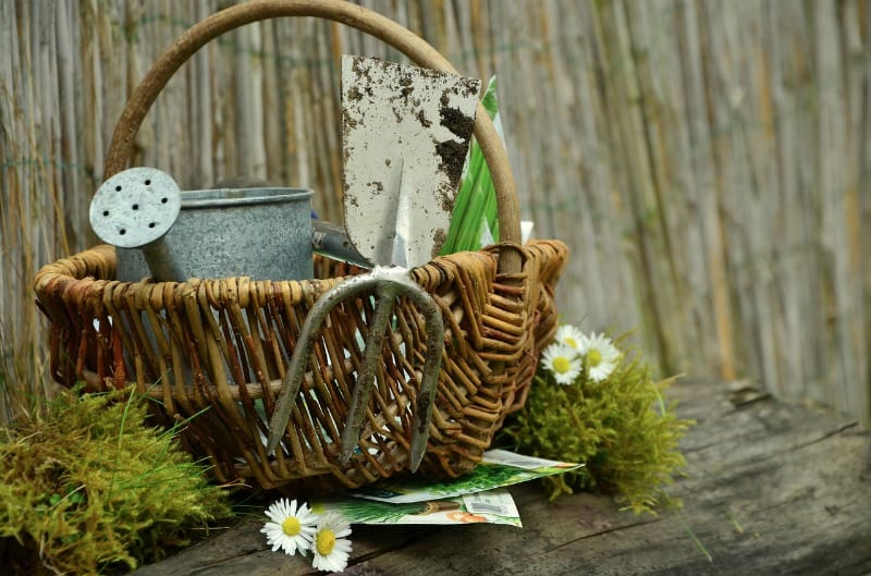 A wicker basket of garden supplies