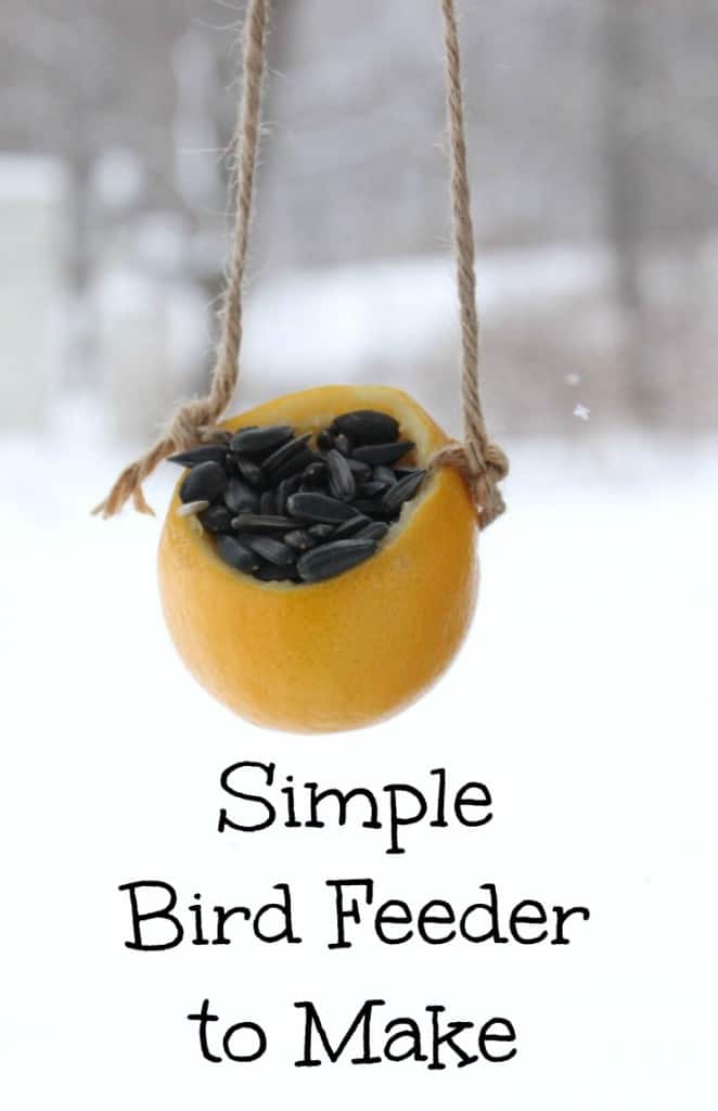 Simple bird feeder to make & bird feeding guide