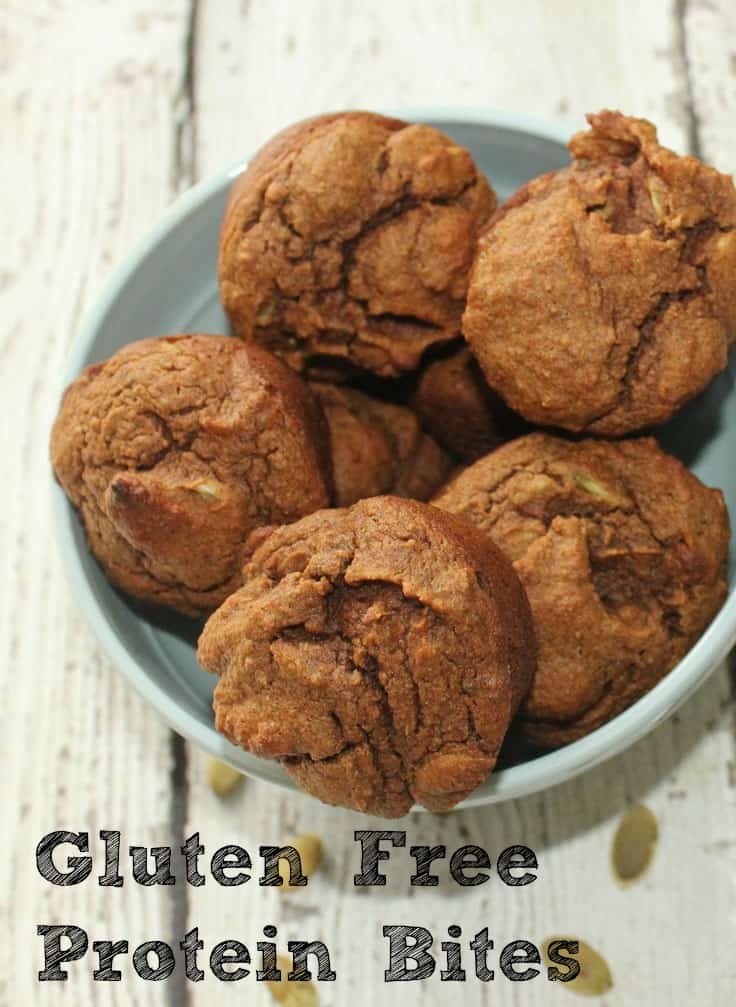 Gluten Free Protein Bites Recipe