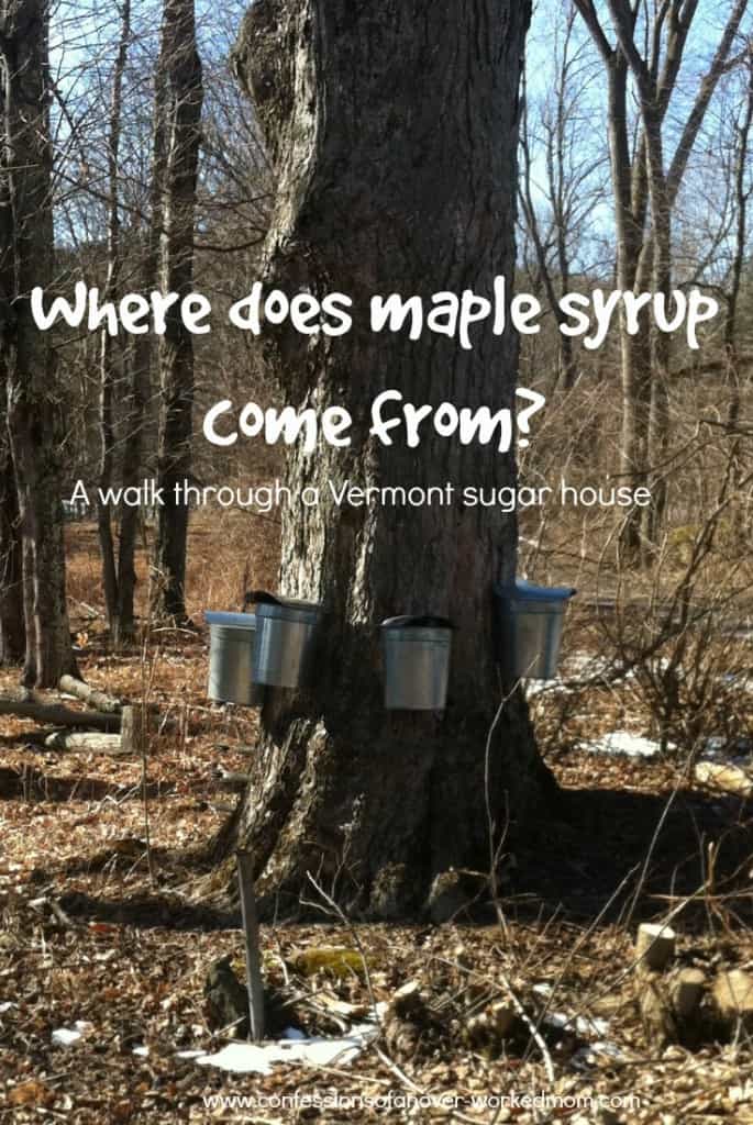 Where Does Maple Syrup Come From ? A walk through a Vermont sugar house