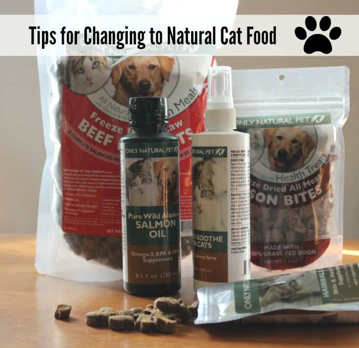 Tips for changing to natural cat food #PawNatural #sponsored