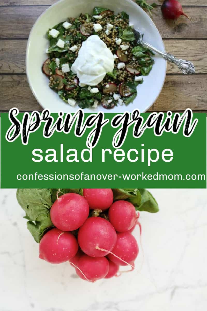 I love salads in the summer time.  This Spring Sorghum Grain Salad recipe is one of my favorites.  Salads are the perfect accompaniment to barbecued chicken or steak on the grill.  