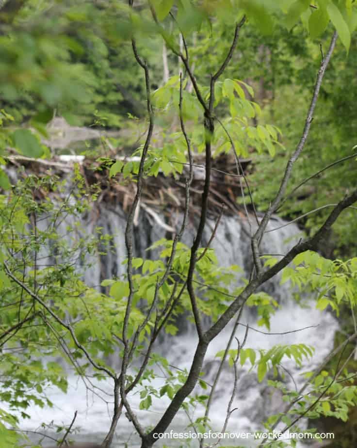 Waterfalls in Vermont - North Breton Brook