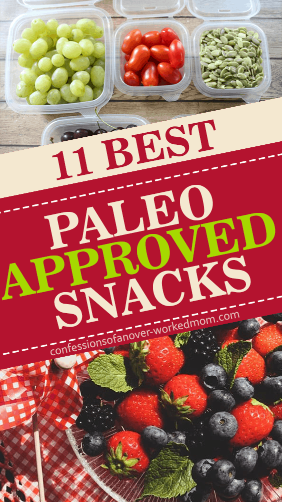 11 Best Paleo Approved Snacks & Tips for Staying Paleo