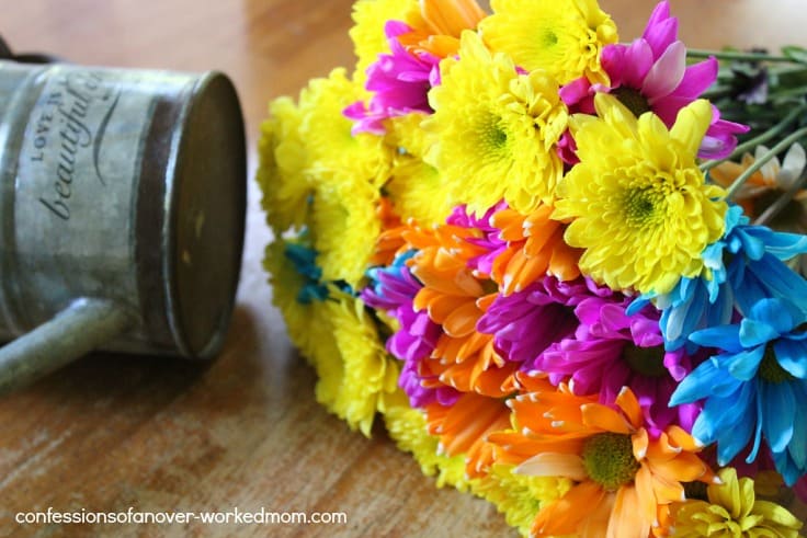 beautiful colorful flowers on a table