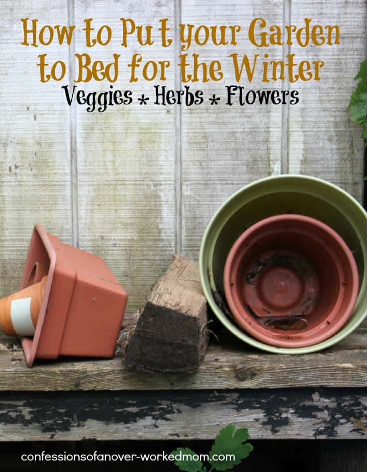 How to put your garden to bed for the winter