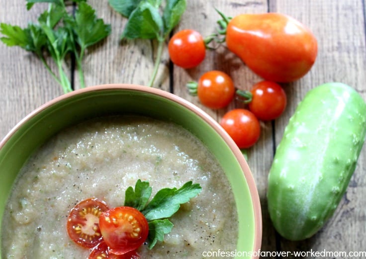 Delicious Raw Garden Vegetable Soup Recipe That's Paleo