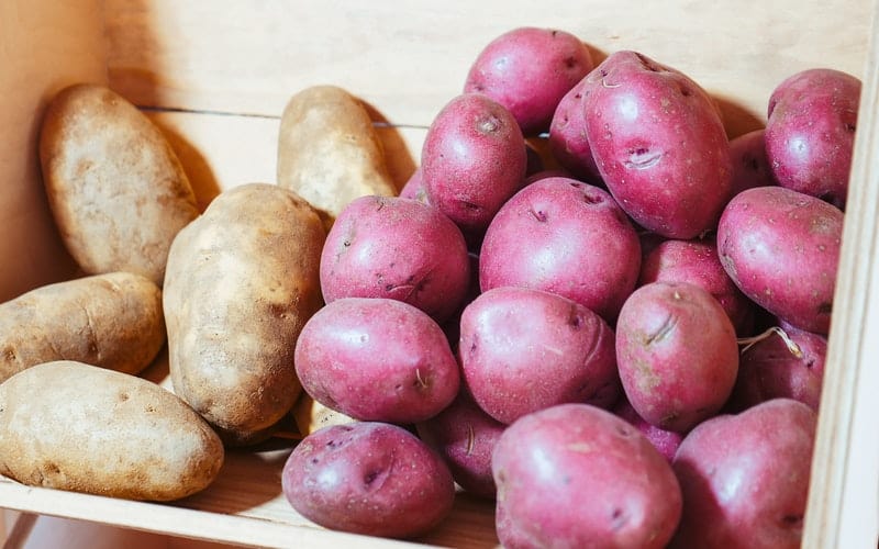 red and russet potatoes in a bin