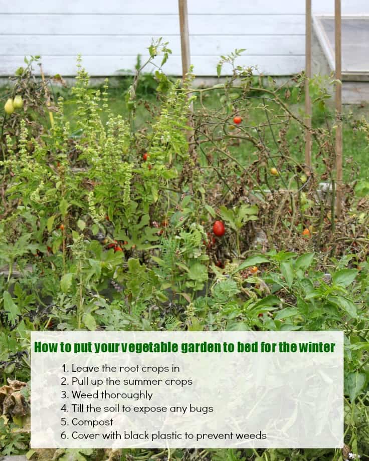 Putting the garden to bed for winter - vegetables