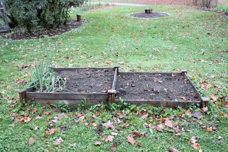 Gardening Aches and Pains | Fall Garden Clean Up #FastAdvil