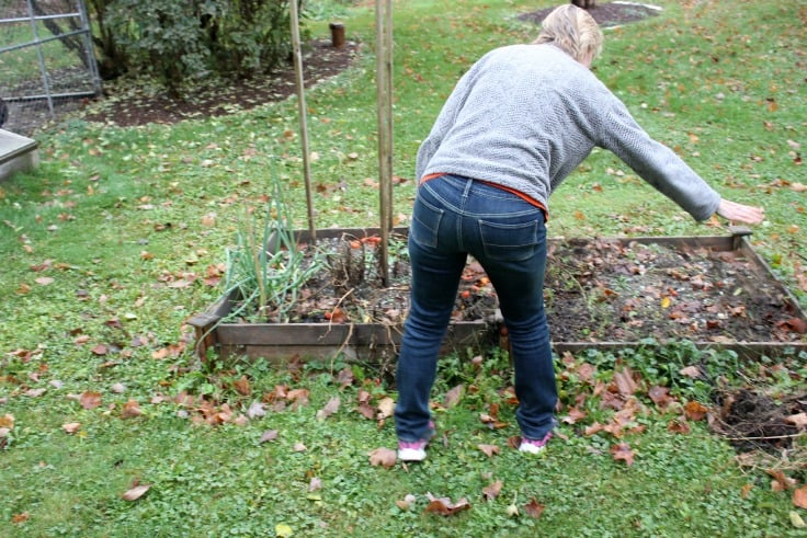 Gardening Aches and Pains | Fall Garden Clean Up