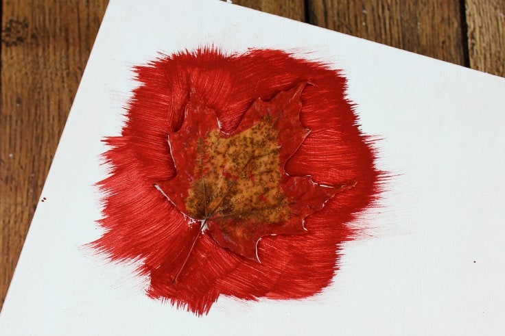 painting with red paint over a maple leaf