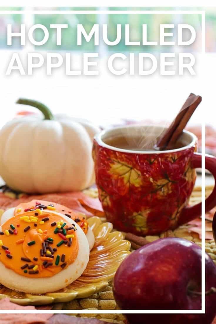 Hot Mulled Apple Cider Recipe