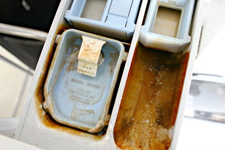 Dispensers that are discolored from water build up